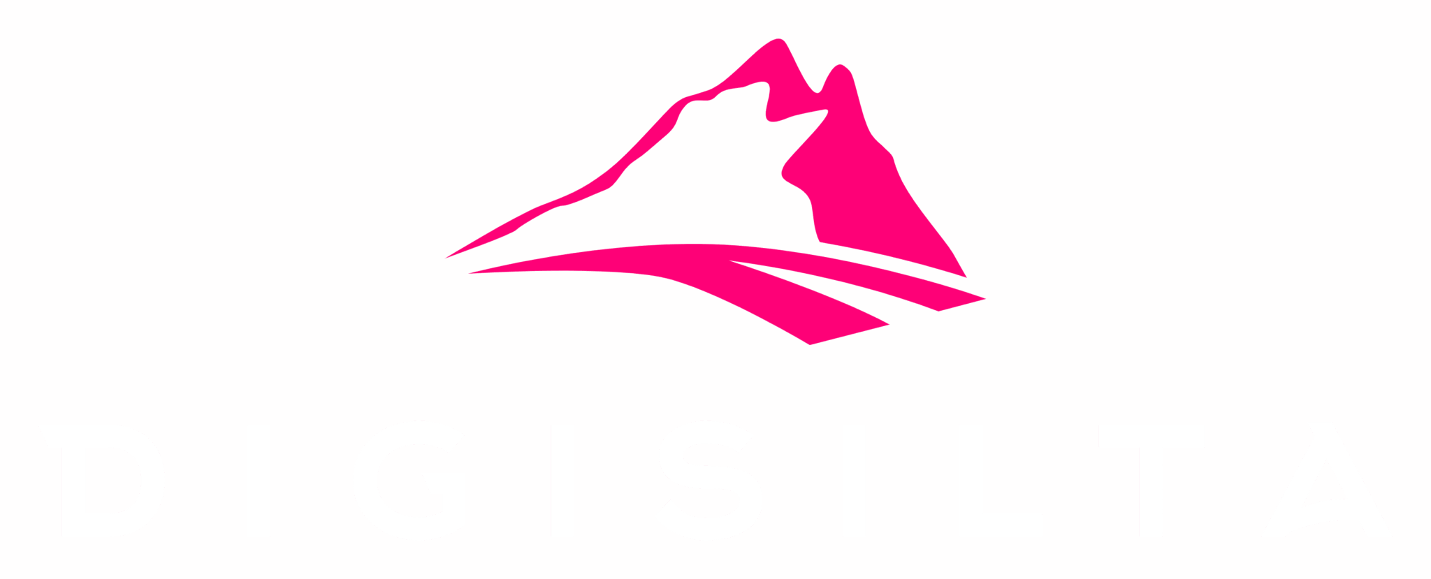DigiSilta Oy